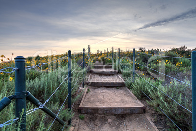 Steps along the hiking trail above Dana Point Harbor