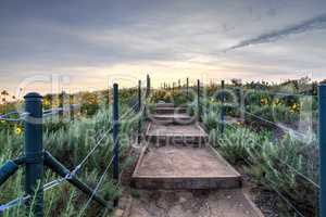 Steps along the hiking trail above Dana Point Harbor