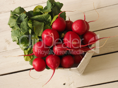 Fresh organic radish