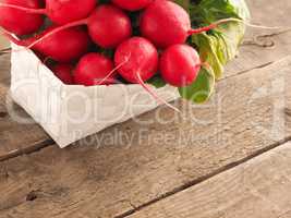 Fresh organic radish