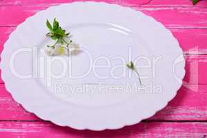 Empty white plate on a pink wooden surface, top view