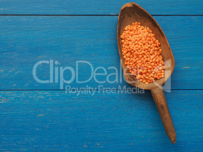 Red lentils on spoon