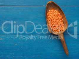 Red lentils on spoon