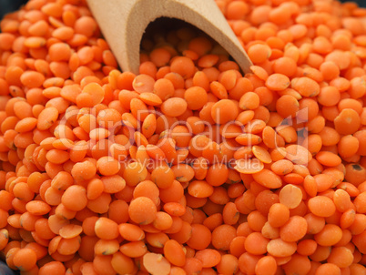 Organic red lentils