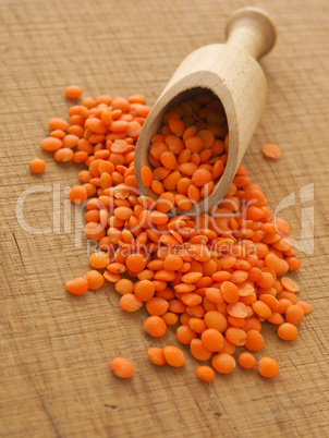 Organic red lentils