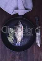 Fresh river carp in a black cast-iron frying pan
