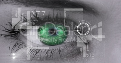 Digital composite image of eye interface