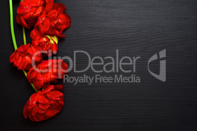 bouquet of bright red fluffy tulips on a black wooden surface