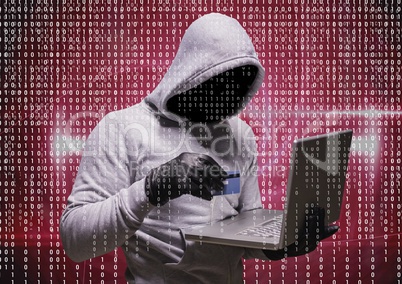 Grey jumper hacker with the computer and the credit card