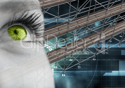 Eye with technology interface and 3D Scaffolding