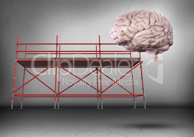 Brain in front of scaffolding in grey room