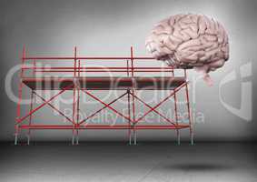 Brain in front of scaffolding in grey room