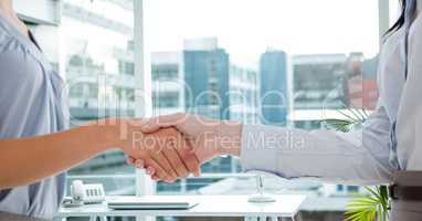 Midsection of businesswoman shaking hands in office