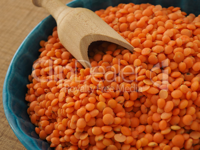 Organic red lentils