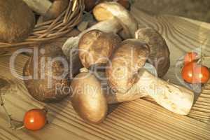 White strong mushrooms in a basket and on the table