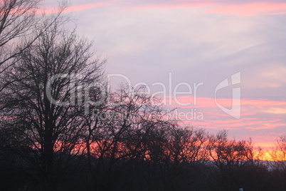 Stimmung im Burgenland