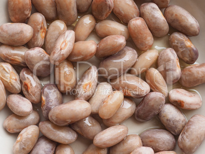 crimson beans legumes vegetables