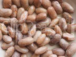 crimson beans legumes vegetables