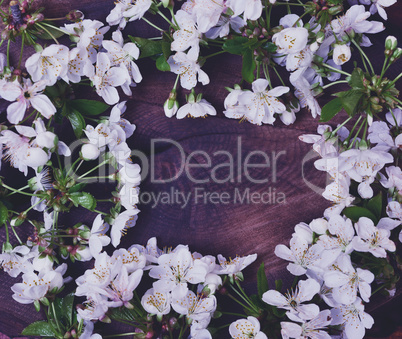 Flowering cherry branches with white flowers on a brown wooden s