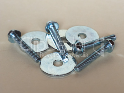 Bolt fastener and washer