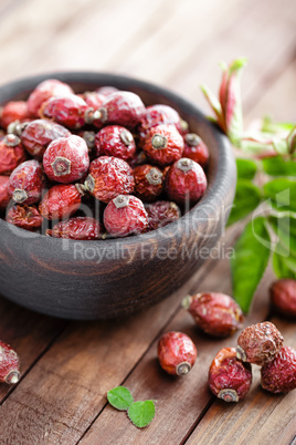 Dog rose or rosehip berries with leaves, dried briar
