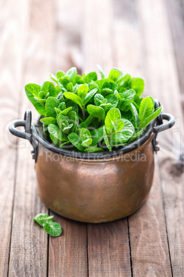 Fresh mint on wooden background