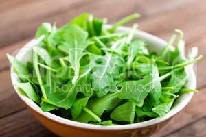 Fresh arugula leaves, rucola