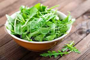 Fresh arugula leaves, rucola