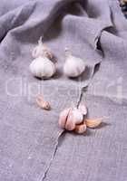 White garlic in husk on gray fabric