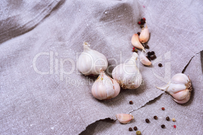 white heads raw garlic on a gray cloth