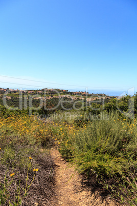 Bobcat Hiking Trail in Newport Beach