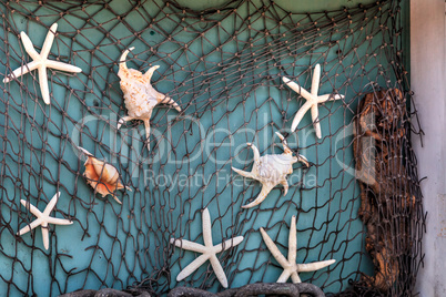 Fishnet background of mixed seashells
