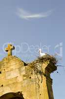 Stork in its nest perched on the portico