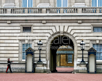 Buckingham Palace Sentry Guard