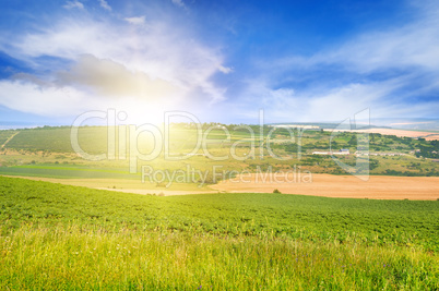 hilly terrain, spring field and sunrise on blue sky