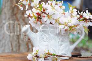 white porcelain vase, branches of flowering almonds,