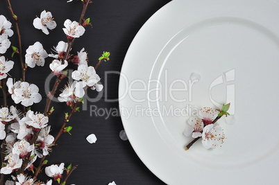 White empty plate  a wooden surface