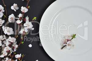 White empty plate  a wooden surface