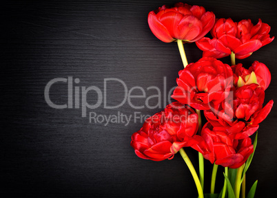 Bouquet of red tulips on a black wooden surface