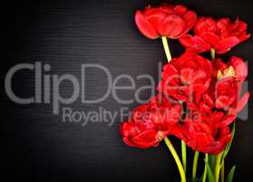 Bouquet of red tulips on a black wooden surface