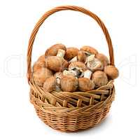 Champignons in wicker basket isolated on white background.