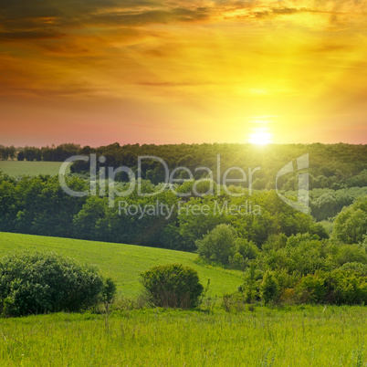 Green fields and a bright sunrise over the horizon.