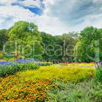 summer park with beautiful flowerbeds