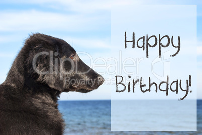 Dog At Ocean, Text Happy Birthday