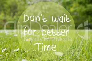 Gras Meadow, Daisy Flowers, Quote Dont Wait For Better Time