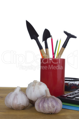 Set of garden tools in a glass pen