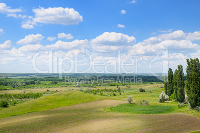 picturesque green field and blue sky