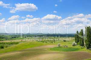 picturesque green field and blue sky