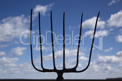 Forks against the sky