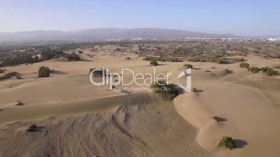 Aerial landscape with sand and plants